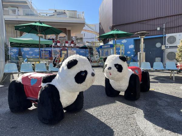 Panda Car Car® Slide
