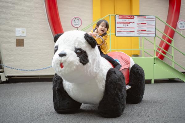 Panda Car Car® Slide
