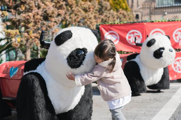 Panda Car Car® Slide