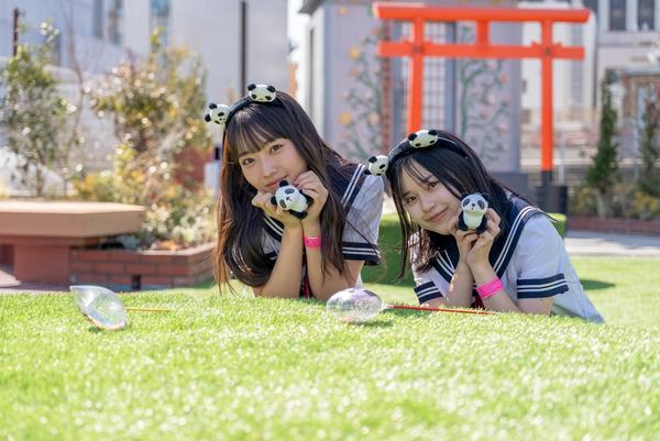 Hanasora Garden Slide