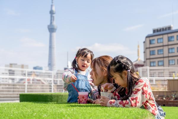 Hanasora Garden Slide